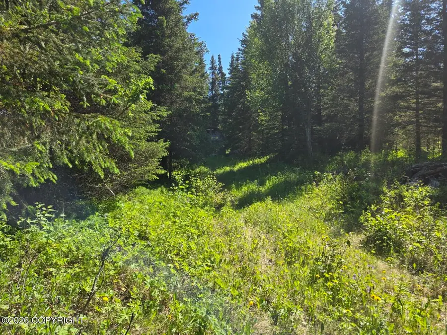 34700 Sterling Highway, Anchor Point, AK 99556 - #3