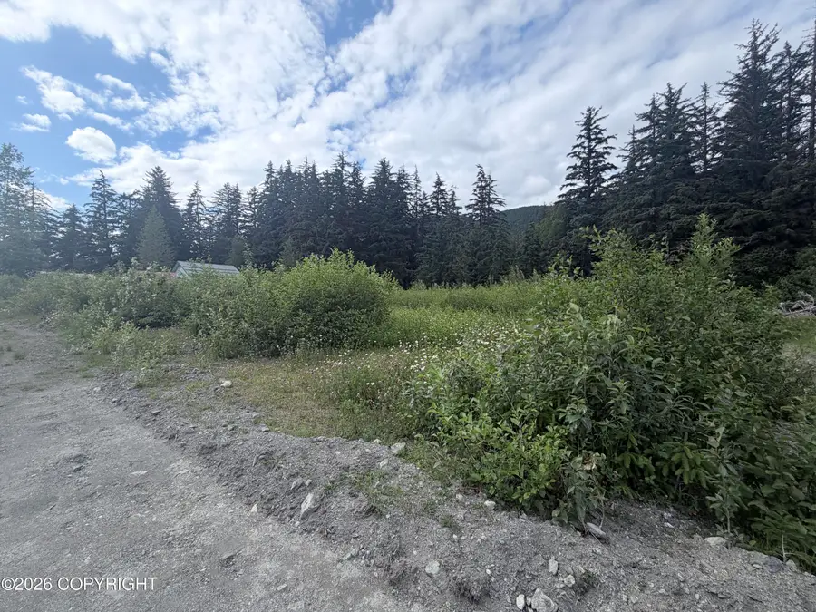 Lots 8&9 Spruce Grove Street, Haines, AK 99827 - #2