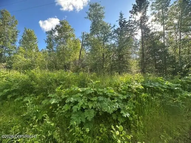 1431 N Branding Iron Lane, South Lakes, AK 99645 - #2