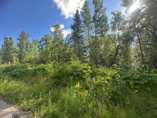 1431 N Branding Iron Lane, South Lakes, AK 99645 - #3
