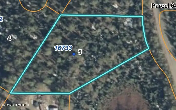 16733 E Sunshine Drive, Talkeetna, AK 99676 - #1