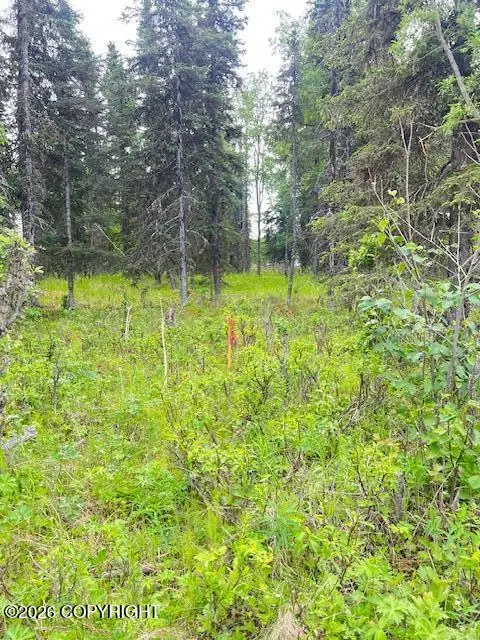 L2 Madsen Avenue, Kasilof, AK 99610 - #1