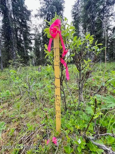L2 Madsen Avenue, Kasilof, AK 99610 - #2