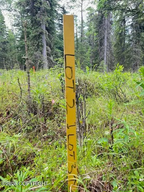 L3 Madsen Avenue, Kasilof, AK 99610 - #1