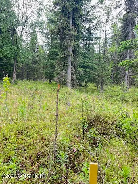 L3 Madsen Avenue, Kasilof, AK 99610 - #2