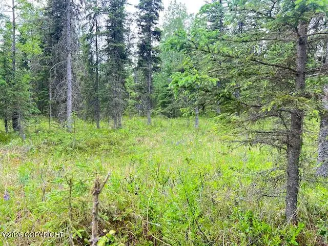 L3 Madsen Avenue, Kasilof, AK 99610 - #3