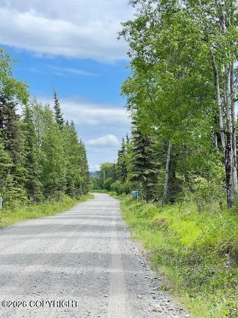 L4 Madsen Avenue, Kasilof, AK 99610 - #2
