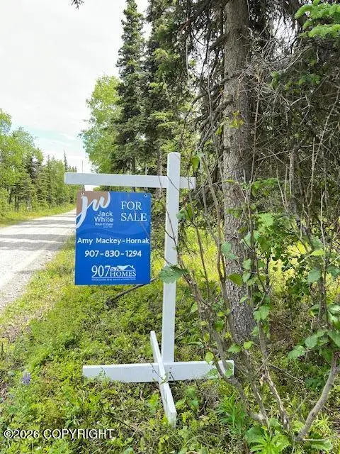 L4 Madsen Avenue, Kasilof, AK 99610 - #3