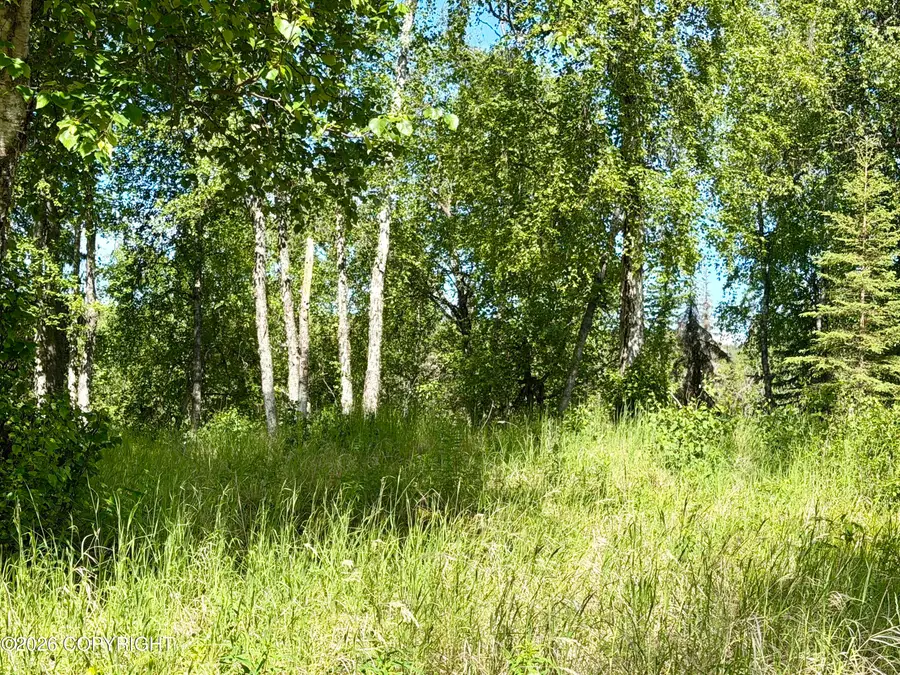125 & 129 Judy Lane, Soldotna, AK 99669 - #3