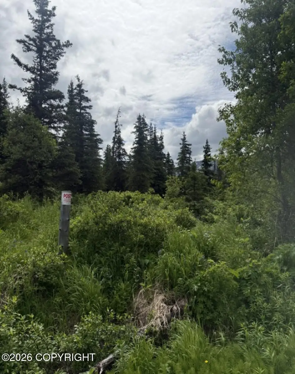 Mile 6.7 Hiland Road, Eagle River, AK 99577 - #1
