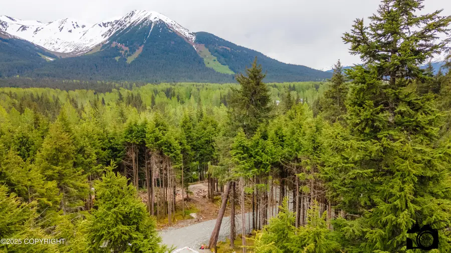 168 Meskenik Way, Girdwood, AK 99587 - #2
