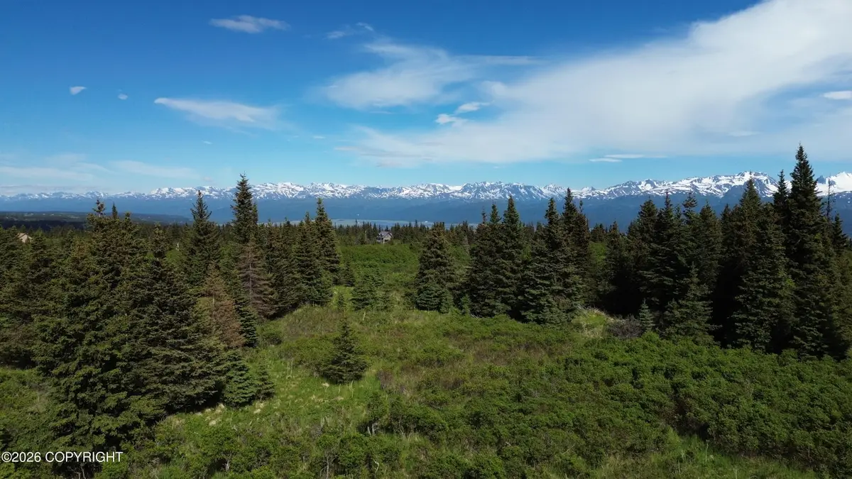 35244 S Upland Street, Homer, AK 99603 - #1