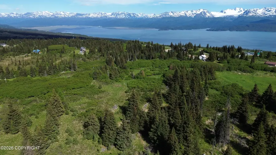 35244 S Upland Street, Homer, AK 99603 - #2