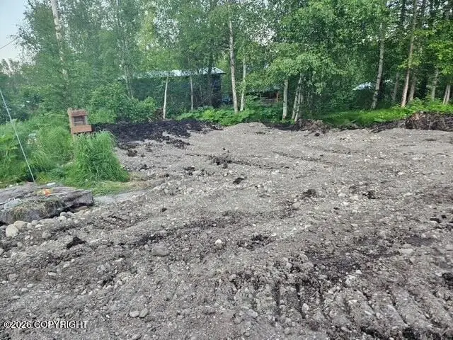 9901 S Laurie Lane, Wasilla, AK 99623 - Image #3