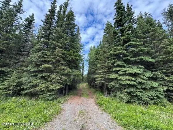 000 Acy's Avenue, Kasilof, AK 99610