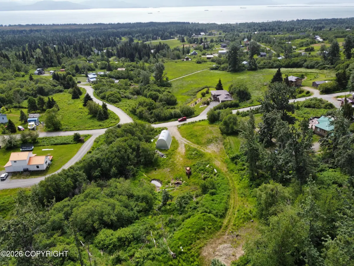 56910 Bradley Lane, Homer, AK 99603 - #1