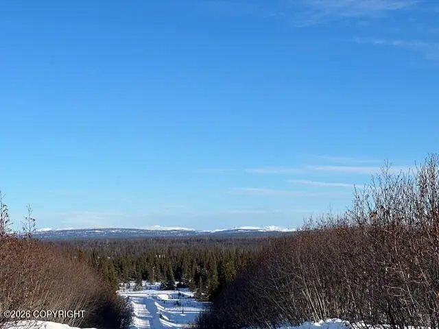 L58 Lowell Street, Ninilchik, AK 99639 - Image #2