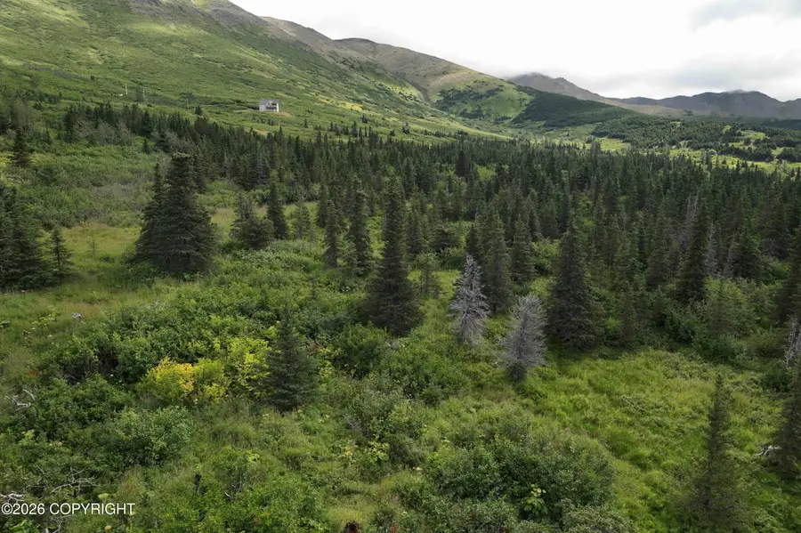 9295 Paine Road, Anchorage, AK 99516 - #3