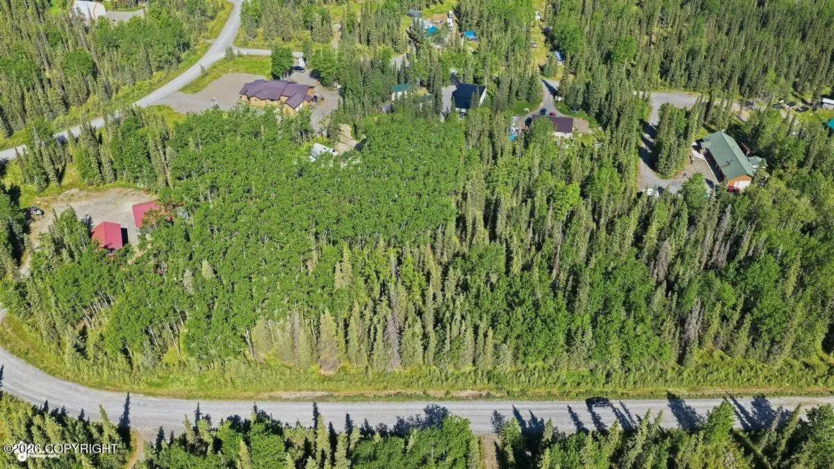52695 Thalia Lane, Kasilof, AK 99610 - #1
