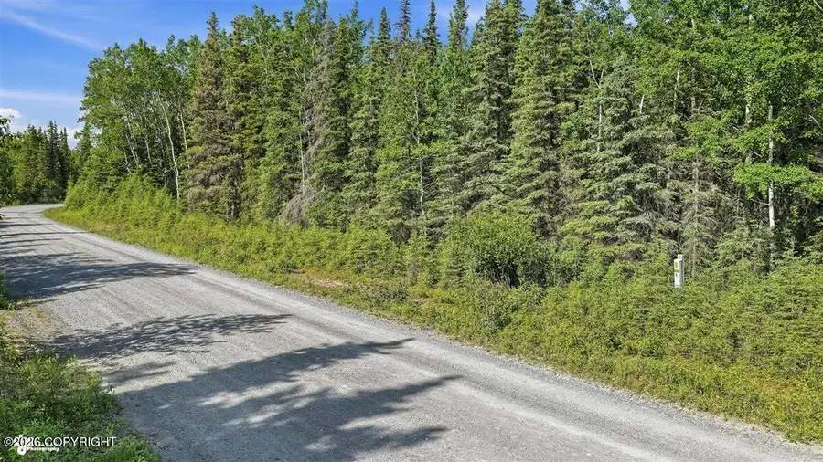 52695 Thalia Lane, Kasilof, AK 99610 - #2