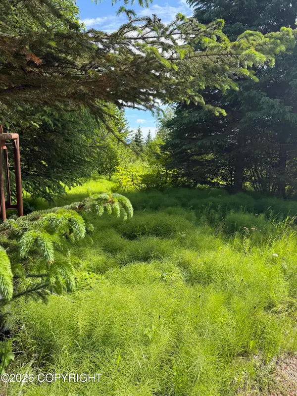 4725 Moon Lane, Homer, AK 99603