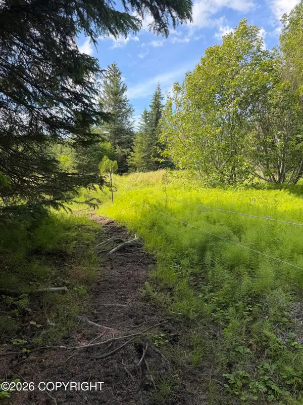TR 1-3 Moon Lane, Homer, AK 99603