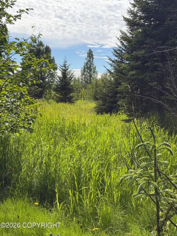TR 1-4 Moon Lane, Homer, AK 99603