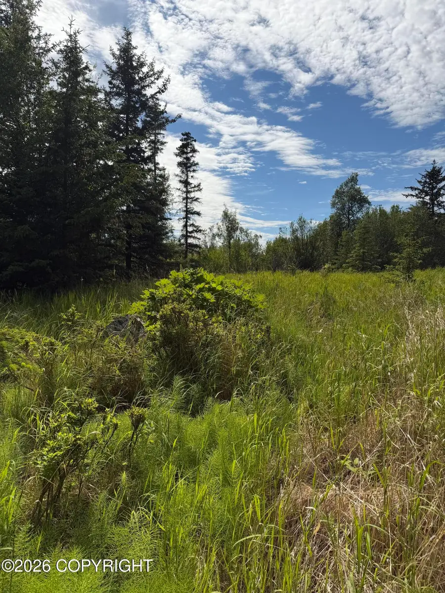 TR 1-4 Moon Lane, Homer, AK 99603 - #3