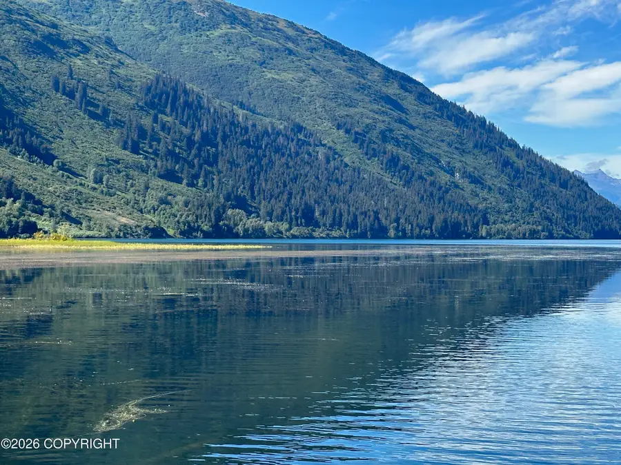 Lot 5 No Road - Chilkat Lake, Haines, AK 99827 - #3