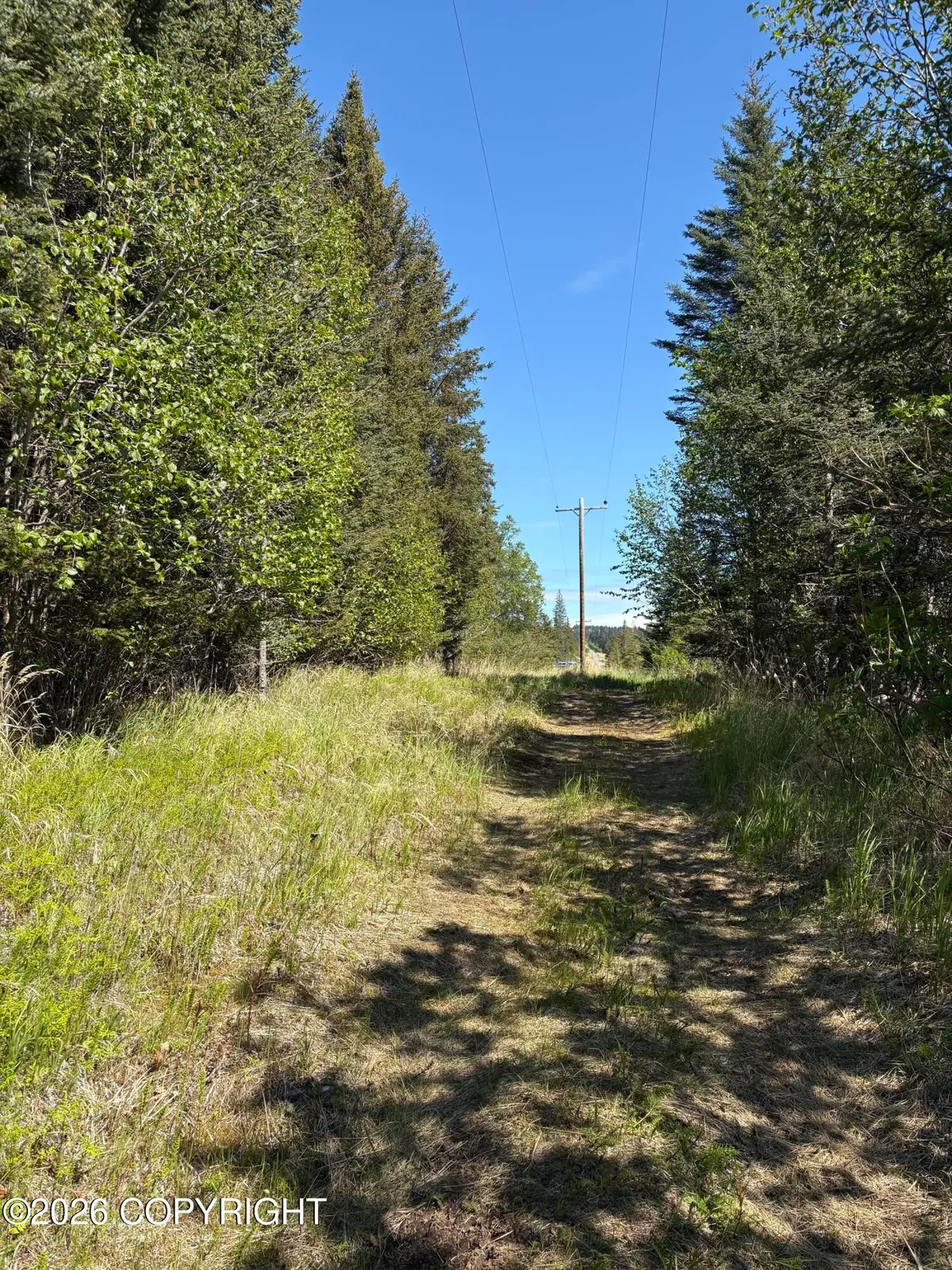 L3A Virginia Avenue, Homer, AK 99603 - #1