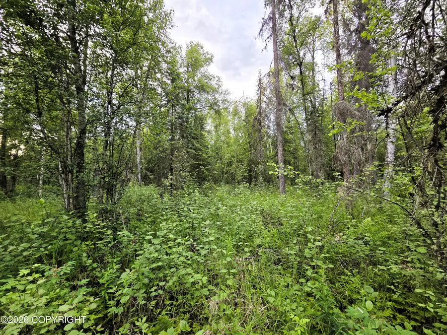 14403 E Lichtenwalner Road, Talkeetna, AK 99676 - #2