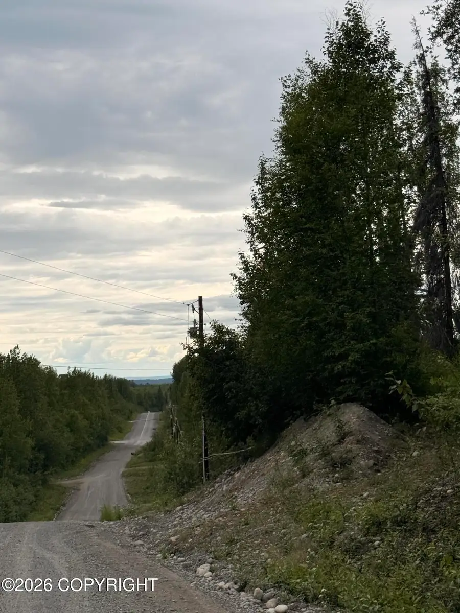 21501 E Caswell Lakes Road, Willow, AK 99688 - #2