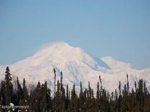 Tr I No Road, Trapper Creek, AK 99683 - #3