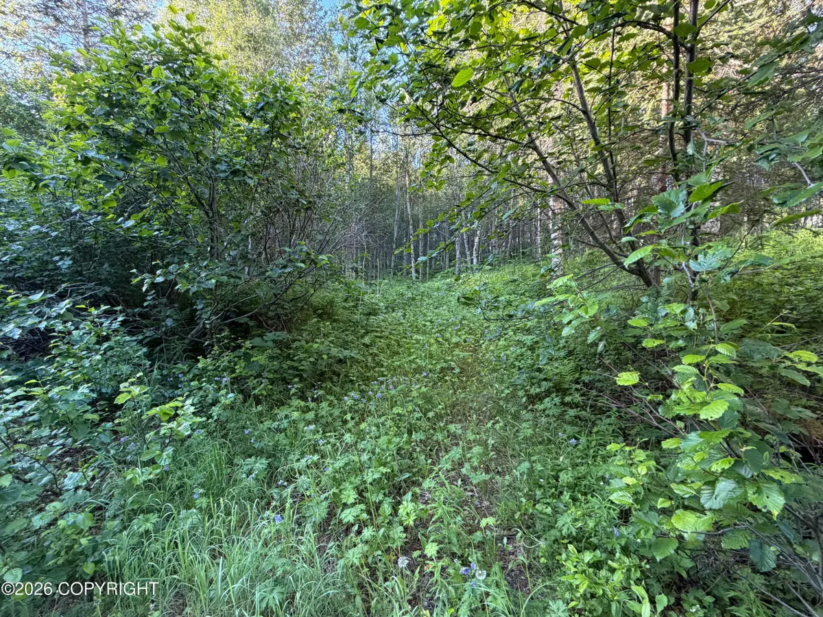 L10 B2 Sunstone Street, Nikiski, AK 99635 - #1