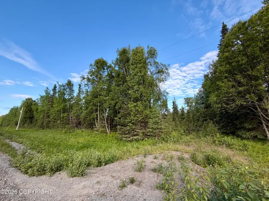 45865 Dividend Street, Salamatof, AK 99611 - #2