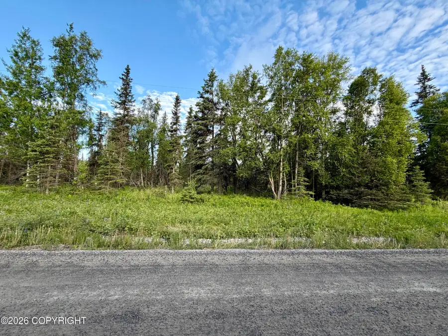45865 Dividend Street, Salamatof, AK 99611 - #3
