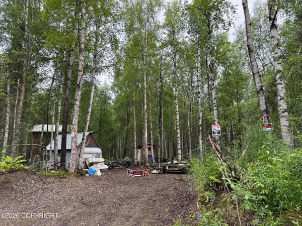 19188 E Bigone Avenue, Willow, AK 99688