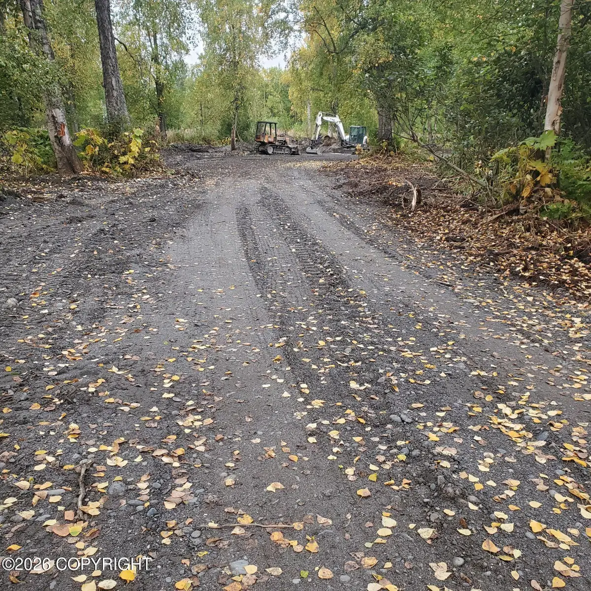 23580 S Bobcat Trail, Trapper Creek, AK 99683 - #1