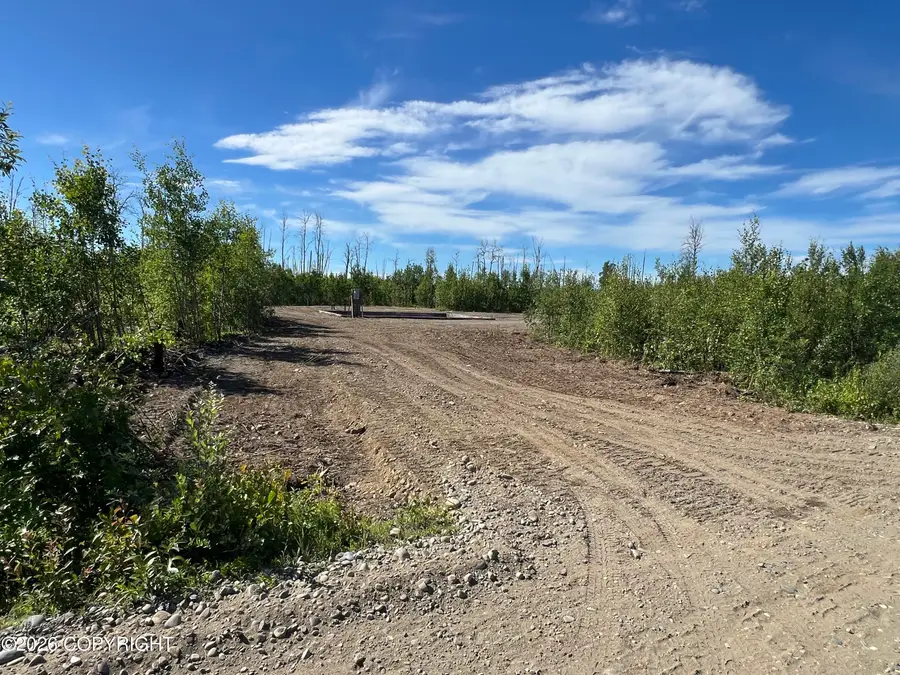 15466 E Wild Bill Way, Willow, AK 99688 - #2