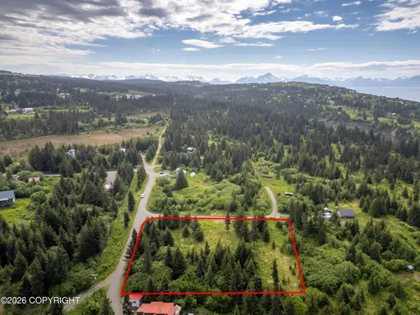 41155 Char Court, Homer, AK 99603