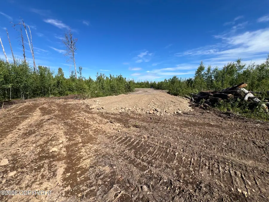 15466 E Wild Bill Way Lot 6, Willow, AK 99688 - #2