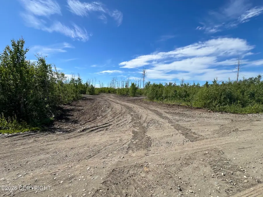 15466 E Wild Bill Way Lot 6, Willow, AK 99688 - #3