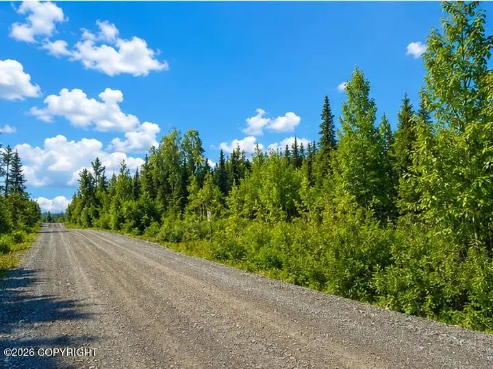 L4 Lake Road, Soldotna, AK 99669 - #3