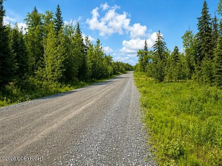 L5 Lake Road, Soldotna, AK 99669 - #3