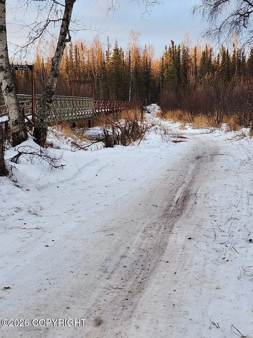 A002 No Road, Big Lake, AK 99652 - #3
