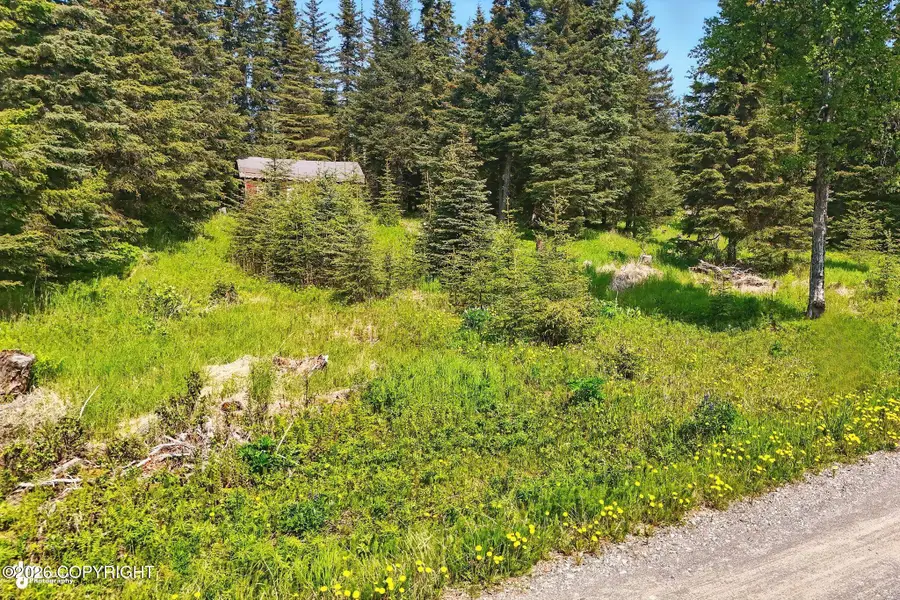 67290 Kiana Drive, Ninilchik, AK 99639 - #2