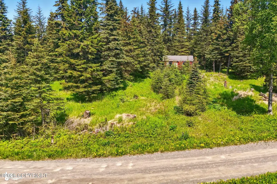 67290 Kiana Drive, Ninilchik, AK 99639 - #3