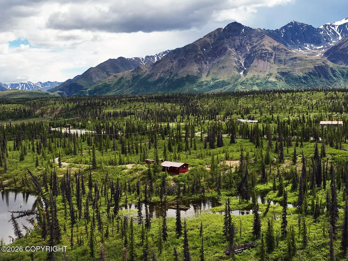 Tr H Denali Highway, Cantwell, AK 99729 - #1