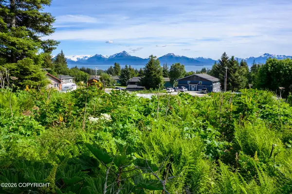 167 E Danview Avenue, Homer, AK 99603