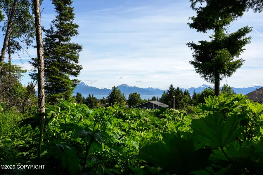 167 E Danview Avenue, Homer, AK 99603 - #2